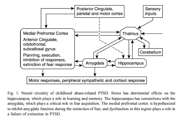 childhood abuse PTSD