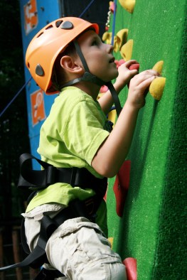 shutterstock_46864729_2