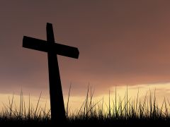 shutterstock_139126682