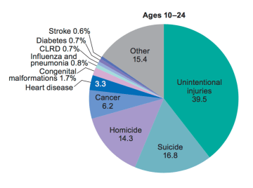 Percent distribution of the 10 leading causes of death, by age group: United States, 2013